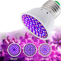 LED växtlampa E27 fullspektrum