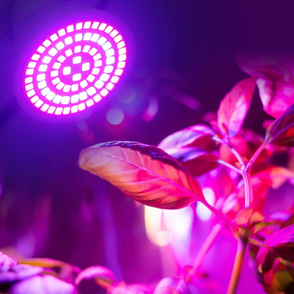 LED växtlampa E27 fullspektrum