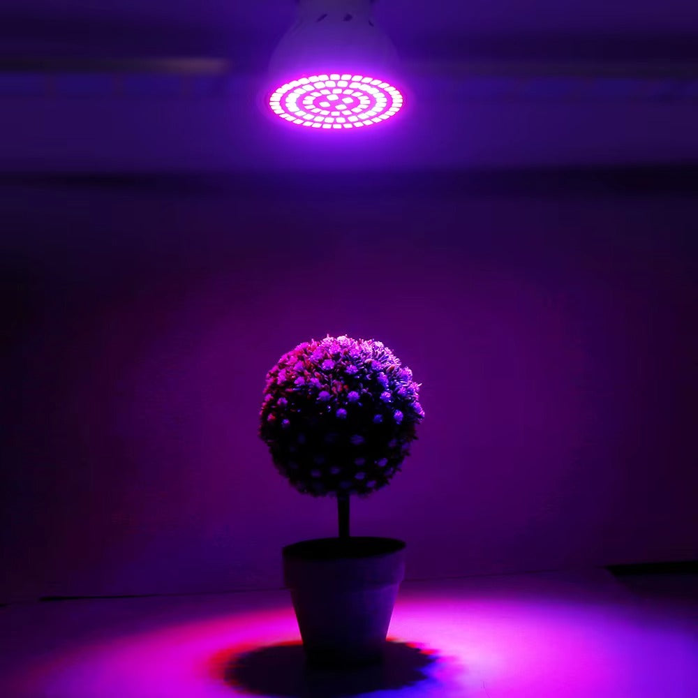 LED växtlampa E27 fullspektrum